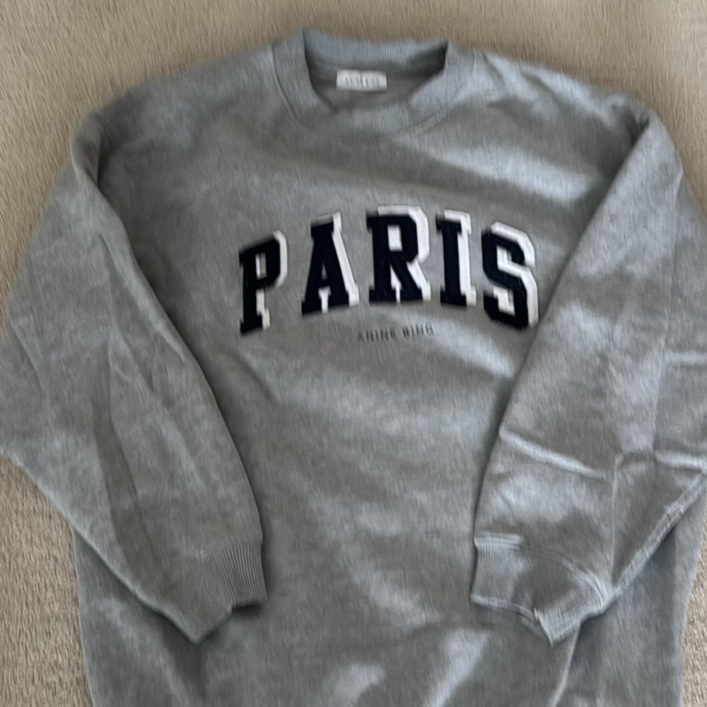 Anine Bing sweatshirt